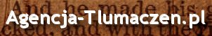 Tłumacz
