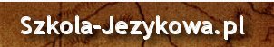szkoła jezyków obcych Kraków 