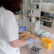 Badania laboratoryjne ? co możemy z nich wyczytać?
