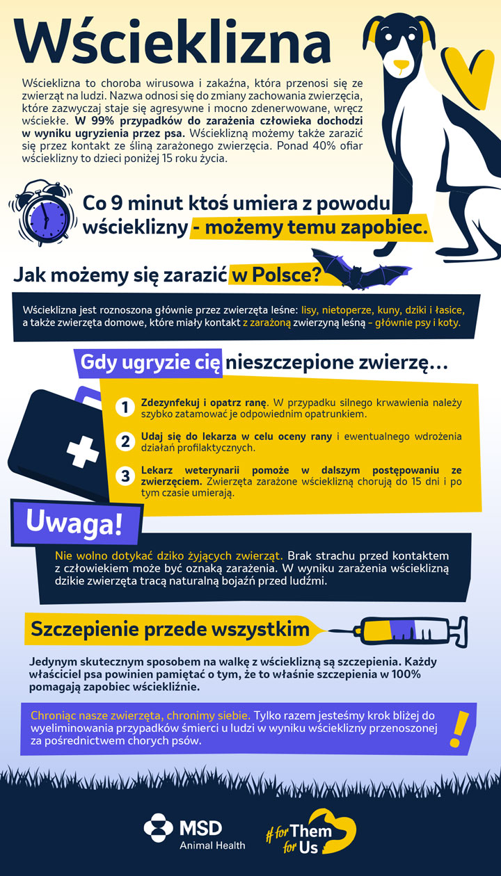 Wścieklizna (łac.rabies) ? śmiertelna choroba zakaźna, przed którą możemy się chronić