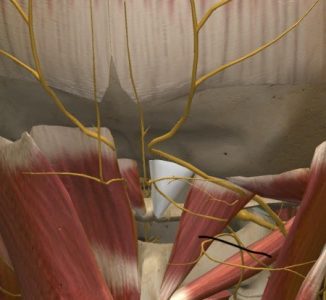 Napięciowy ból głowy. Jak sobie z nim poradzić?